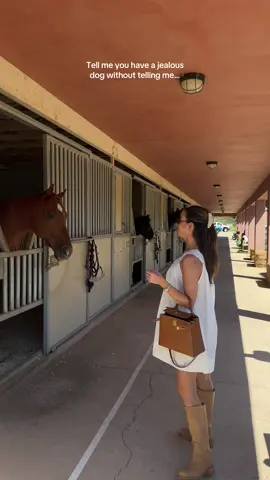 Can’t pet any other animals.. Also the horses are very used to dogs.. clearly my dog is not used to them though  👀💀