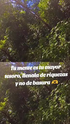 llenemos nuestra vida de riquezas y no de basura #LIVEIncentiveProgram #MyLIVEJourney #PaidPartnership