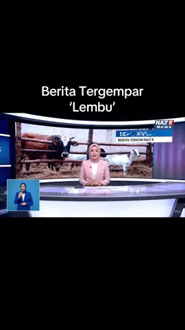 Berita Tergempar ‘Lembu’..🐂 P/s: chills guys, gurauan AI shja.. #videolucu #berita #ai #fyp #xyzbca  