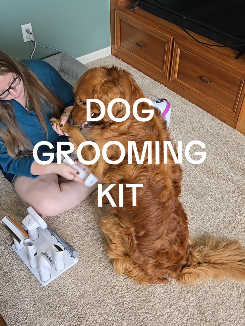 I dont know how he isnt bald at this point #doghair #doggrooming #dogvacuum #petvacuum #doggroomingtips  dog Grooming kit dog hair vacuum dog brushing 