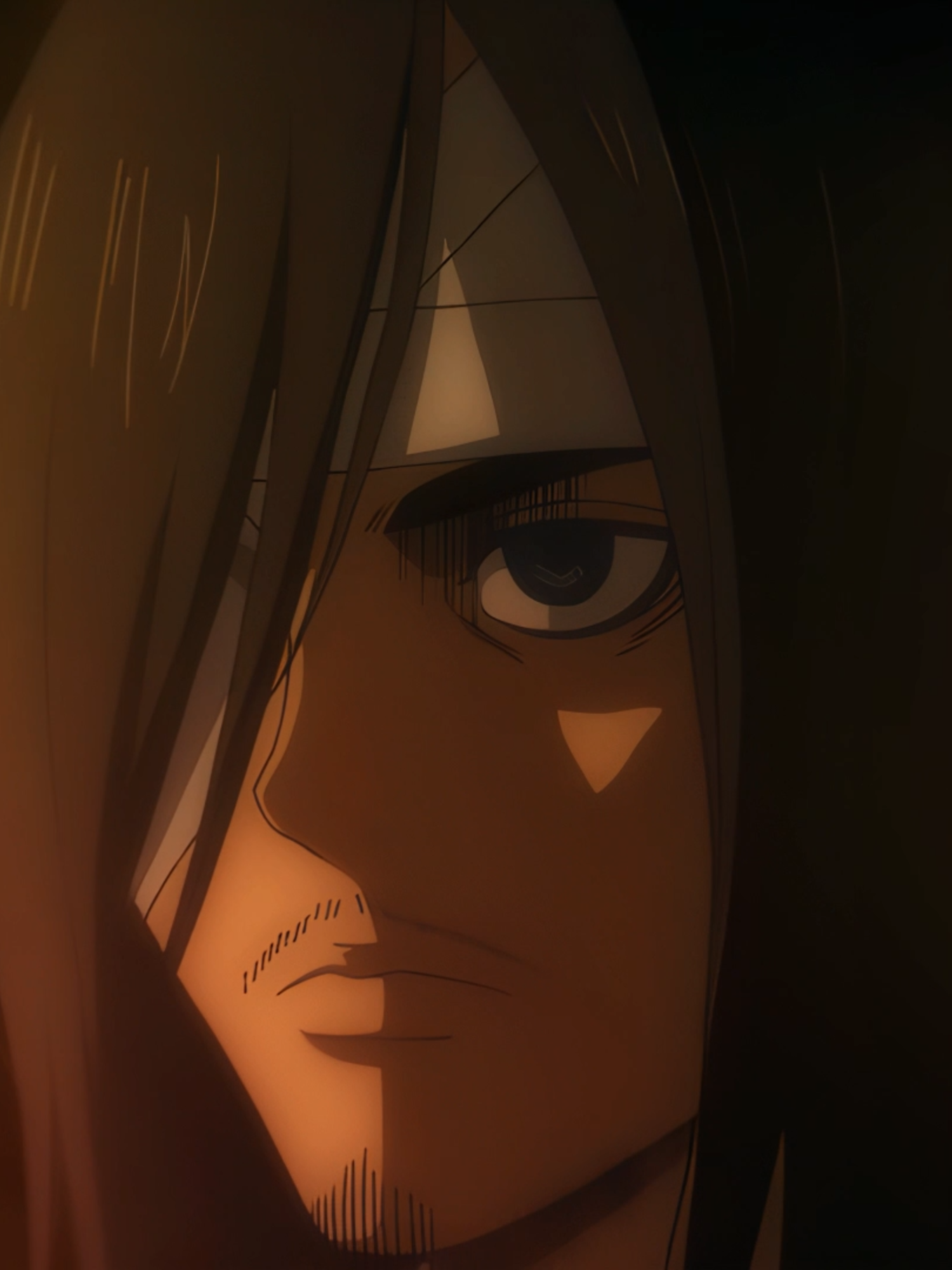 #AttackOnTitan #snk #shingekinokyojin #aot #erenjaeger #anime #animeedit