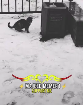 سڑے یے عسہ کو 🤣🤣#funymemes🤣🤣 #majeedmemer1 #ukraine🇺🇦 #ksa🇸🇦 #pastomeme پل شین یم 🤣🤣