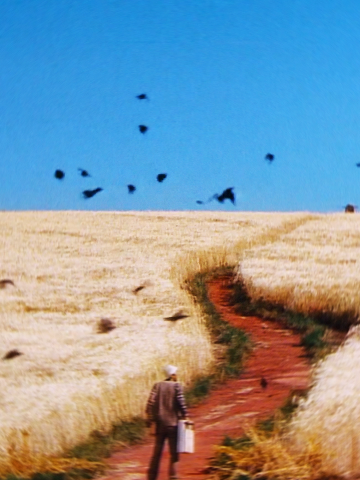 #dreams1990 #akirakurosawa #dreams1990edit #kurosawaedit #cinematography #kurosawadreams #edit #fyp
