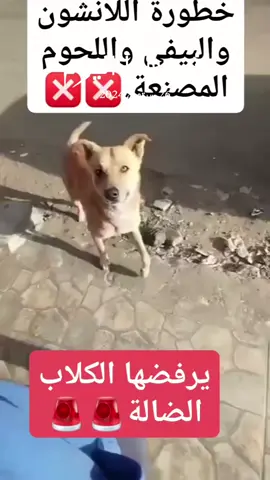 #في هذا اليوم