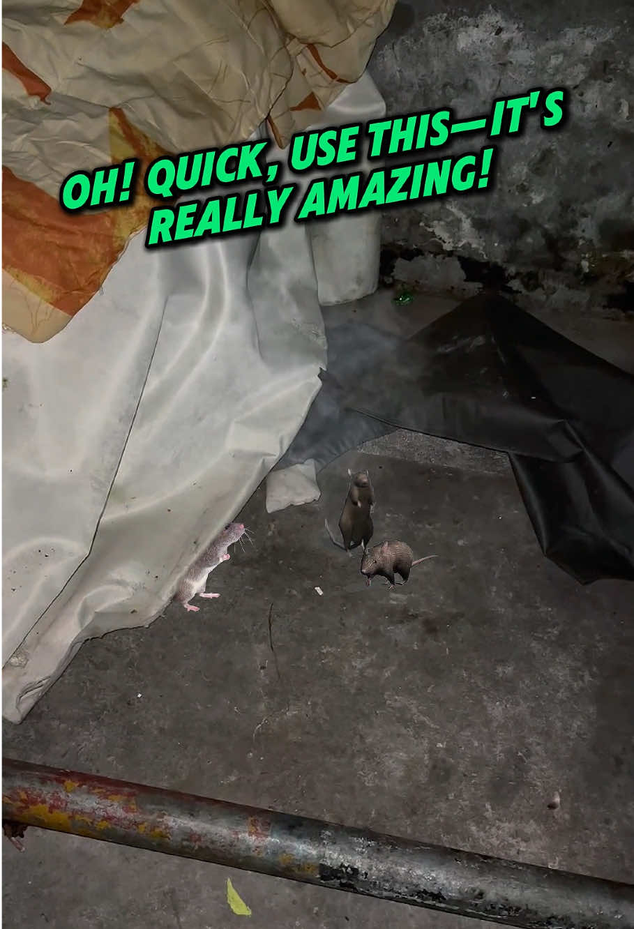 Home, farm, warehouse with mice, recommended to use this Fearleft Mouse Repellent Pouches, a box of 10, each valid for 30 days, plant ingredients , non-toxic and harmless!#Rats #Mice #mouse #Rat #Repellers #mothballs #ratrepellent #You #Need #goodthing #Home #Simple #Solutions #Indoor #fyp #TikTokShop #foryou #fypシ #USA #Outdoo