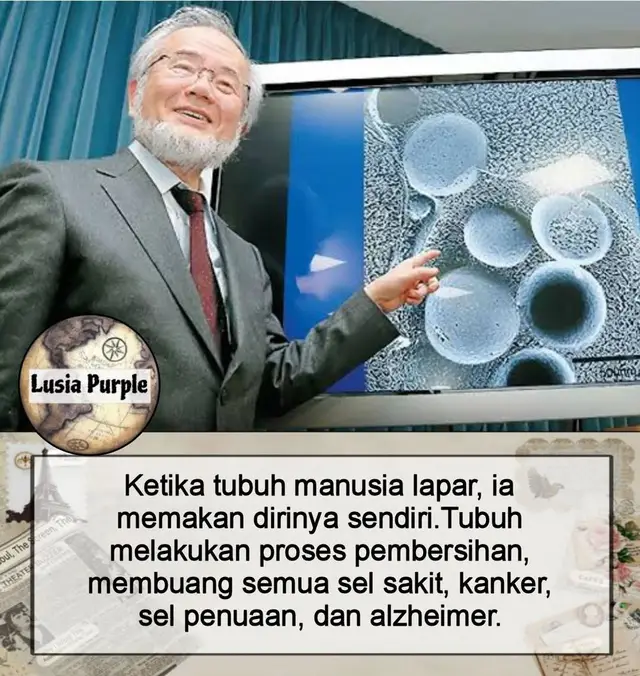 Pernah dengar istilah bahwa ketika tubuh lapar, sebenarnya ia sedang “memakan dirinya sendiri”? Kedengarannya menakutkan, tapi justru di situlah letak salah satu keajaiban tubuh manusia. Proses ini dikenal dengan nama autophagy, sebuah mekanisme alami yang menjadi topik penelitian besar hingga membuat ilmuwan Jepang, Dr. Yoshinori Ohsumi, dianugerahi Hadiah Nobel Fisiologi atau Kedokteran pada tahun 2016. Apa yang sebenarnya terjadi saat autophagy? Bayangkan tubuh kita seperti sebuah kota. Setiap sel adalah bangunan yang sibuk bekerja. Seiring waktu, beberapa bangunan rusak, tidak terpakai, atau bahkan bisa menjadi ancaman. Jika tidak dibersihkan, kota itu akan penuh sampah dan hancur perlahan. Nah, autophagy adalah tim pembersih yang datang, membongkar bangunan rusak, lalu menggunakan kembali materialnya untuk membangun yang baru. Saat tubuh kita tidak mendapat asupan makanan untuk beberapa waktu—misalnya ketika berpuasa—ia akan mengaktifkan sistem darurat. Energi yang biasanya didapat dari makanan kini harus dicari dari dalam tubuh. Maka tubuh mulai mengurai sel-sel yang sudah tua, rusak, atau tidak efisien. Sel-sel ini dihancurkan, bagian baiknya didaur ulang, dan sisanya dibuang. Kenapa ini penting? Karena banyak penyakit berbahaya muncul akibat sel-sel rusak yang dibiarkan menumpuk. Protein abnormal yang tidak dibersihkan bisa memicu penyakit neurodegeneratif seperti Alzheimer dan Parkinson. Sel yang rusak bisa berkembang menjadi kanker. Bahkan proses penuaan pun dipengaruhi oleh akumulasi sel-sel tua yang tidak lagi berfungsi. Dengan autophagy, tubuh seakan memiliki mekanisme detoks alami. Ia membantu: Mengurangi risiko penyakit kronis Memperlambat penuaan sel Membersihkan “sampah seluler” yang bisa jadi berbahaya Memberi kesempatan tubuh untuk melakukan regenerasi dan perbaikan Puasa dan autophagy Banyak penelitian modern mengaitkan manfaat puasa dengan autophagy. Ketika kita membiarkan tubuh “istirahat dari makanan” selama beberapa jam hingga hari, autophagy cenderung lebih aktif. Inilah sebabnya intermittent fasting banyak diminati, bukan hanya untuk menurunkan berat badan, tapi juga untuk menjaga kesehatan jangka panjang. Namun, penting dicatat: autophagy bukan berarti obat instan untuk semua penyakit. Ia adalah proses alami yang mendukung kesehatan sel, tapi tetap harus diimbangi dengan gaya hidup sehat, pola makan bergizi, dan kebiasaan baik lainnya. Jadi, lain kali saat kita merasa lapar di jam-jam puasa, ingatlah bahwa tubuh sedang bekerja keras membersihkan dan memperbaiki dirinya sendiri. Lapar bisa jadi bukan musuh, tapi justru bagian dari cara tubuh kita menjaga kesehatan. #Salam #Sehat dan #Bahagia 