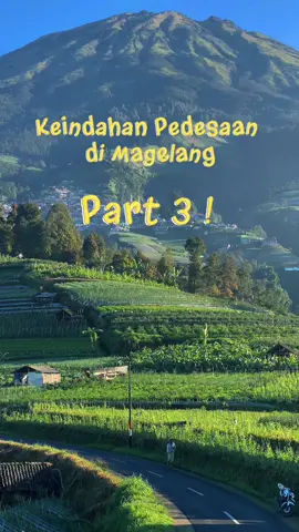 Membalas @dans_story0 Semuanya background gunung sumbing tapi punya keindahan masing - masing ..  save kalau kalian pengen berkunjung ke Magelang🤪 #wisatamagelang #magelangexplore #placetogo #hiddengemmagelang #sukomakmurmagelang 