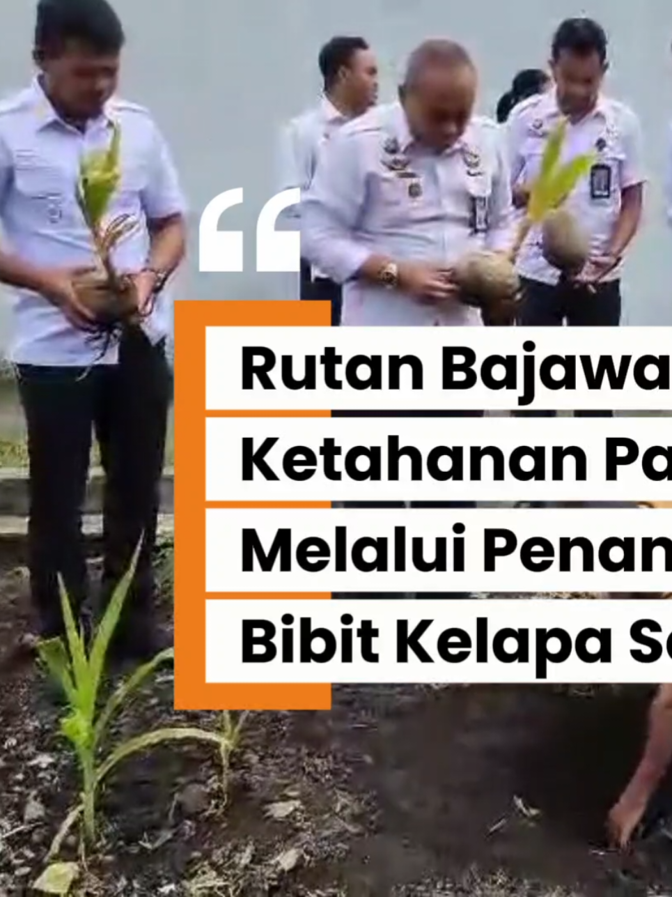 Rutan Bajawa Dukung Ketahanan Pangan Nasional Melalui Penanaman Bibit Kelapa Serentak #kemenimipas #guardandguide #ditjenpas #pemasyarakatan  #SetahunBerdampak 