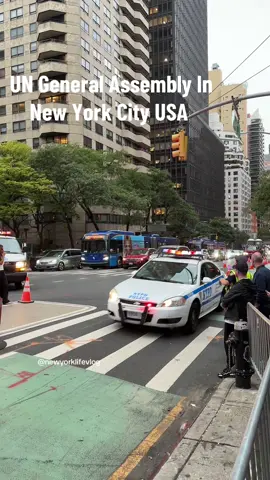 #newyorkcity #UN #manhattan #tiktok #fyp 