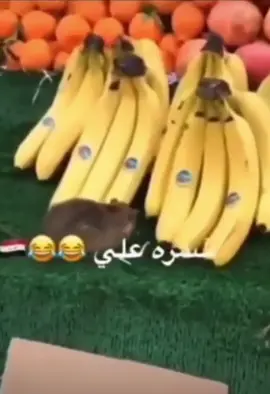 #الشعب_الصيني_ماله_حل😂😂 #العراق #بغداد 