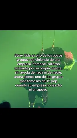 mis bebés#fyp #parati #Viral #viralvideo #skz4thgenleaders 