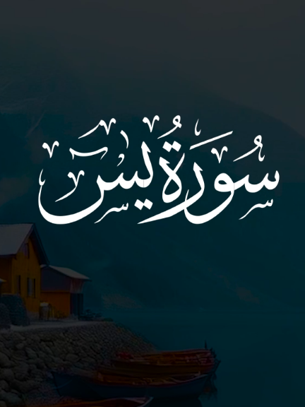 #Tilawat #quranverses #quran #صدقة_جارية_عن_جميع_اصدقائي 