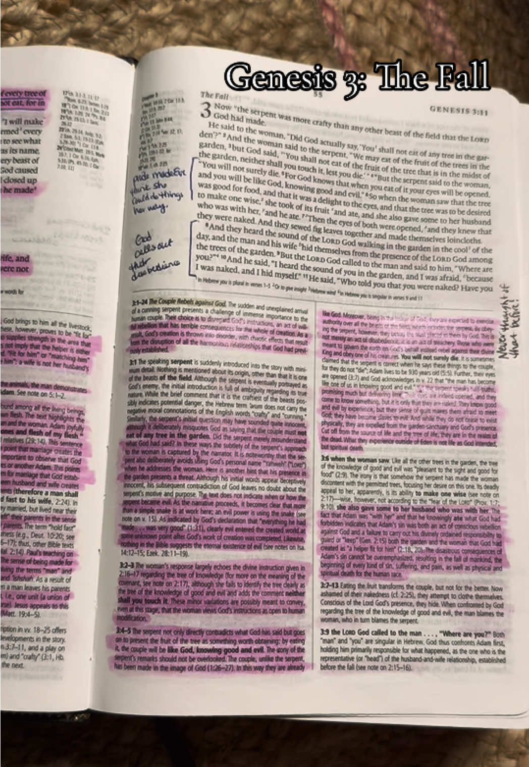 Genesis 3 is the chapter where Adam and Eve eat from the tree God told them not to eat.  They disobeyed. They made their choice. They chose wrong. And God punished them. Consequences exist to teach and protect. But do you know what God also did?  He clothed them in animal skins so they wouldn’t be ashamed of their nakedness. Even though they made the wrong choices, God still loved and cared for them. Remember that.  Footnotes are such good resources for pointing out facts like this. Don’t sleep on those footnotes. See my pinned posts for the Bible I’m using.  #christiantiktokcommunity #bibletok #biblenotes #biblestudy 