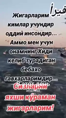 #ВэтотДень