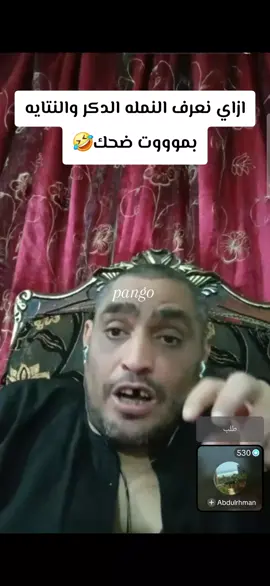 ازاي نعرف النمله الدكر من النتايه🤣#الشعب_الصيني_ماله_حل😂😂 #كروان_مشاكل 