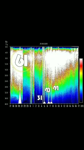 Resonancia Schumann 25 Septiembre 2025 Potencia ⚡ 61, 31, 34, 40, 44 Tierra 5D Arrasando con todo así llegó la energía Hola 😊👋 les dejo la actualización de las gráficas de Resonancia Schumann y ahora les comento: La energía llegó con todo, nos sacudió muy fuerte y nos puso frente a emociones que en el pasado reprimimos, y nos hizo mirarlas y sentirlas si o si bueno al menos así lo vivi además Salto Cuánticos, cambios en la realidad, mensajes, sueños, señales y sincronizadades. Continúan las actualizaciones en nuestro ADN descargas de fotones de luz las resonancias son ⚡61, 31, 34, 40, 44 Hz ingreso de alta Vibración en 5D Efectos y síntomas que podrías sentir: Emocional: *Apatía *Ansiedad *Desesperación *Explosiones emocionales *Ira *Irrealidad *Frustración *Neutralidad *Miedo *Tristeza *Llanto Físico: *Alergias *Cansancio *Calambres *Calor interno *Dificultad para expresarse al hablar *Dolor dental *Dolores articulares *Dolores musculares *Dolores de cabeza *Eructos y gases *Estornudos constantes *Exceso o nada de apetito *Hormigueo en el cuerpo *Garganta seca *Gripe *Fluctuaciones en la presión arterial *Malestar digestivo *Migrañas *Mareos *Náuseas *Ojos irritados *Palpitaciones *Perdida temporal de memoria *Pesadez en manos, pies y piernas *Punzadas en cabeza y pecho *Pesadez en el cuerpo *Ruidos extraños en los intestinos *Saliva espesa *Sed *Sudoración *Sueño *Tos *Vértigos *Zumbidos de oídos Energéctico: *Activación de los centros energéticos o chakras *Agitación mental *Aumento de la consciencia *Aumento de la percepción y sensibilidad *Aumento del amor incondicional *Canalizaciones *Conexión con uno mismo (a) *Conexión con tus guías y maestros espirituales *Descargas de conocimientos ancestrales y avanzados *Dejavus *Mensajes y respuestas *Olores suaves y agradables *Premoniciones *Paz *Sensación de unidad *Saltos Cuánticos *Sincronizidades númericas *Vibraciones en el cuerpo En este perfil, los mantendré informados sobre las variaciones de la Resonancia. Estas grandes variaciones, que nadie puede explicar, nos dan una clara señal de que el mundo está cambiando. ¡La Tierra vibra cada vez más alto, igual que nosotros! Gracias 🧘✨🧬 SerLuz @ebssemillaestelar #ebsserluz #serluz