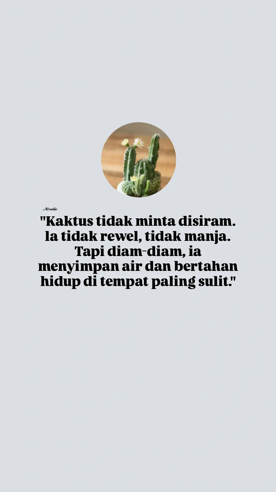 FILOSOFI KAKTUS 🌵 Kaktus dikenal sebagai tanaman yang tangguh dan dapat bertahan hidup di lingkungan yang keras dan kering. Mereka memiliki kemampuan untuk menyimpan air dalam batang mereka, sehingga dapat bertahan hidup tanpa air untuk waktu yang cukup lama. Banyak orang yang menghadapi tantangan dan kesulitan dalam hidup mereka, namun mereka tetap kuat dan bertahan. Mereka tidak meminta banyak, tapi harus terus berjuang dan mencari cara untuk bertahan  hidup. #motivasihidup #motivasidiri #motivasisukses #fyppppppppppppppppppppppp #fypシ゚viral🖤tiktok 