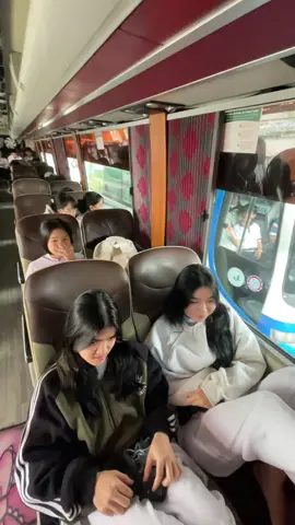 Bạn mình toàn rắn 🐍 độc@TranChau🐰 @Hồng Ngọc @Q.Hoa nò👉🏻👈🏻 @Đonn #rắnđộc #hocsinh #tàixế #xuhuongtiktok 