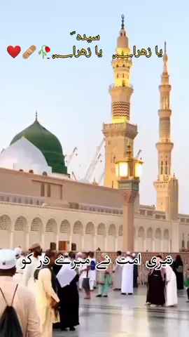 جنہوں نے در سیدہؐ جلایا تھا اُن کی نسلیں آج بھی مصائبِ آل محمدؐ سن کر ان کا مذاق بناتیہیںلعنت بر دشمنانِ حضرت زہراؐ