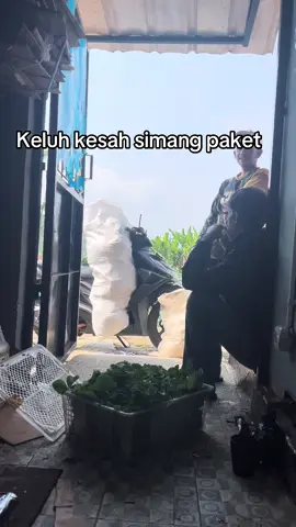 #mangpaket 
