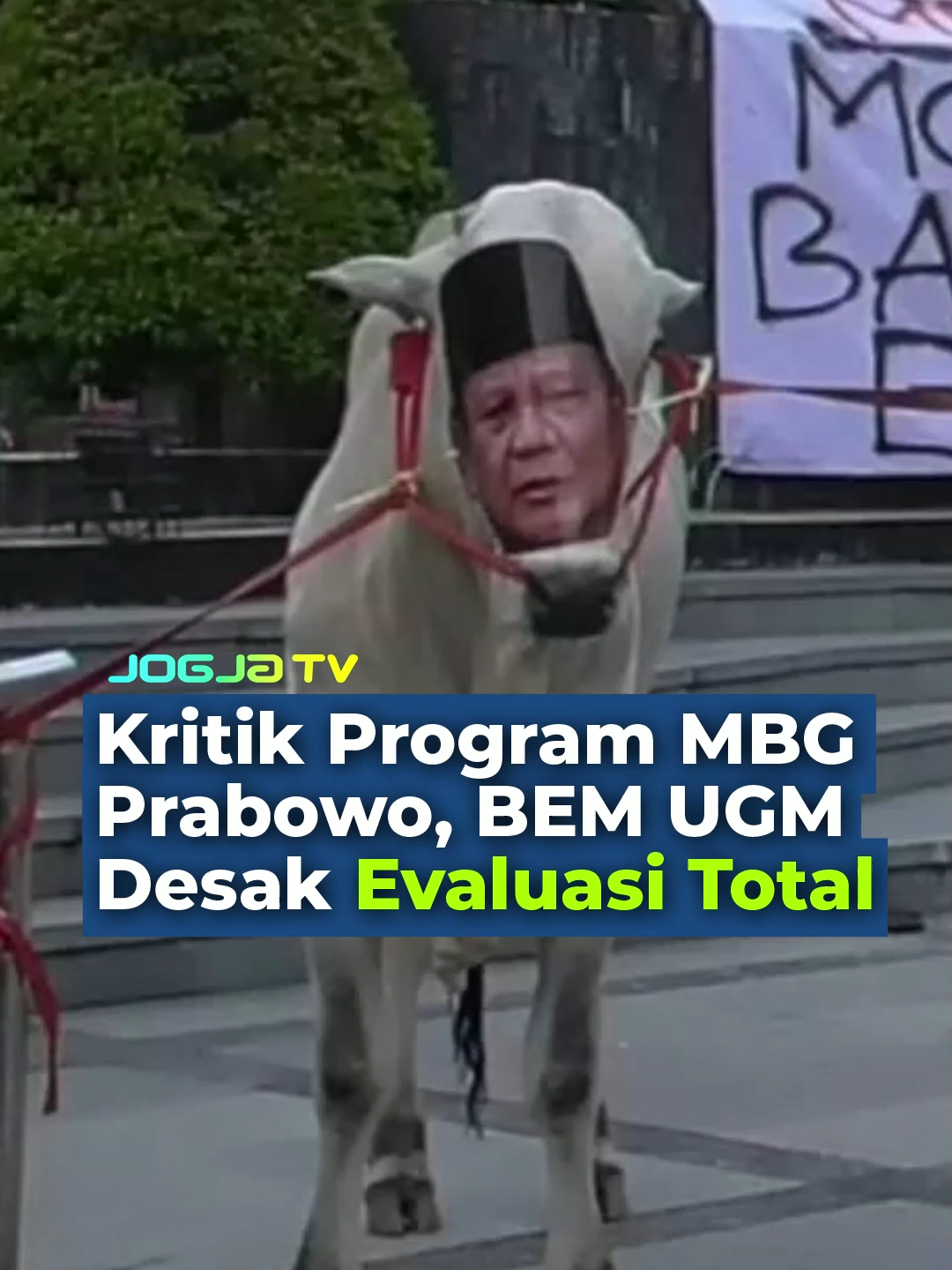 Aksi menuntut dibatalkannya program makan bergizi gratis, MBG, digelar mahasiswa Universitas Gadjah Mada Yogyakarta, pada Rabu (24/9) petang. Dalam aksinya, mahasiswa juga menuntun sapi bertopeng Presiden Prabowo Subianto. #jogjatv #seputarjogja #beritajogja #yogyakarta #makanbergizigratis #ugmyogyakarta