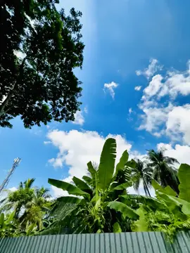 নীল আকাশ আর সবুজ গাছ, অথচ আমার অন্তর শূন্য—কারণ হারানো তুমি নেই💔💫 #fyp #foryoupage #nature #unfuzzmyaccount #bangdeshitiktok🇧🇩 