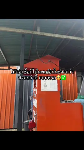 #โสมบริ้ง #ของดีบอก 