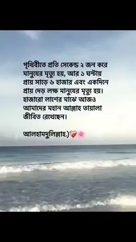 #duet with @シ︎𝐋𝐎𝐍𝐄𝐋𝐘_𝐌𝐀𝐍 🕊️ Alhamdulillah 🥰