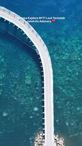 Adonaramanise♥️#nttpride🔥🏝🔥fypシviral #nttpride🔥fypシ @papua.baribut @stefen🤍 @Mex hayond 
