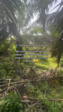 ##fyppppppppppppppppppppppp #anakampung #kulisawit #orisawit🌴 #loadingsawit 
