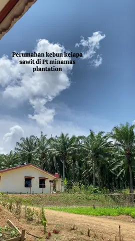 Haredanggg🔥☀️#minamasplantation #kebunsawit #fyp #perumahan #kalimantanselatan 