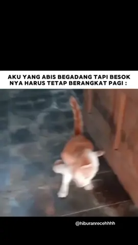 Setengah sadar  Like postingan ini & jangan lupa komen sesuka lo di postingan ini yaw💫 Follow = @hiburanrecehhhh jika  lo ingin terhibur setiap hari haha😄✨ #hiburanreceh #videolucu  #memes
