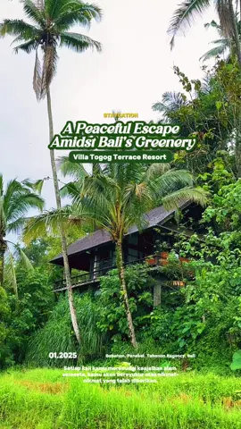 Rekomendasi Villa Bali yang jauh banget dari keramean, Tenang, Nyaman bener” deh Healing banget.  Waktu itu aku dapet harga 1juta. #explorebali #villaBali #VillaTogogTerraceResort #villaTabananBali #PenginapanBali 