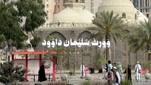 #قران_كريم 