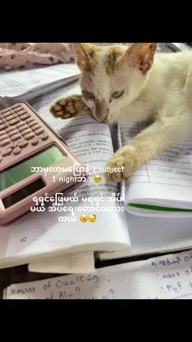 #မြန်မာစာနဲ့တင်ဇာတ်သိမ်းသွားပြီ #ချစ်စရာကောင်းတာတစ်ခုပြမယ်🥺🎀 #foryou #bibiyou #foryou 