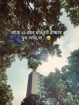 কবে দেখবো কেও বলো 🥺 #foryou #fypシ゚ #bangladesh🇧🇩 #1000kviews #foryoupage 
