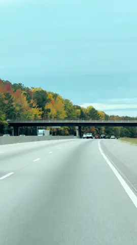 North Carolina 🇺🇸