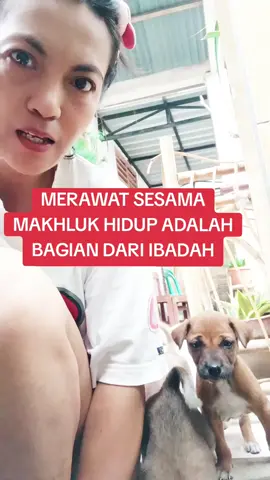 Merawat tanaman adalah wujud rasa syukur atas nikmat dan sistem ciptaan Allah yang sempurna. Ini mengajarkan kita untuk menjaga dan memelihara apa yang telah diberikan Allah. 