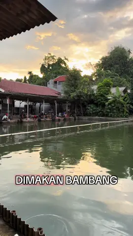 setiap minggu kita paket mingguan,dengan tiket 100k komplit main durasi 3jam. mulai 14:30-17:30 #galatamalele #mancing #fyp 