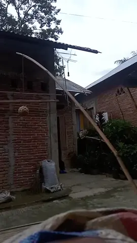 #CapCut 
