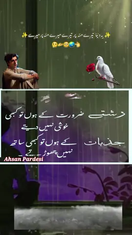 #creatorsearchinsights #ahsanpardesi #rjadeelpoetry #fypシ゚viral #tiktok 