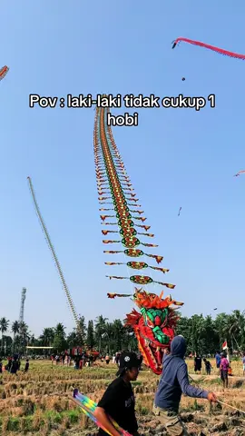 banyak hobi banyak rejeki🙌🤩 #bolosrewu #fyp #layangannaga #danapelajar🤙 