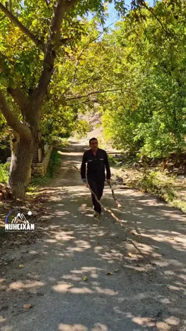 Nazik qabıq, yağlı ləpə – Üstüpü cəvizinin sirri Hazırda Ordubad rayonunda məşhur cəviz yığım mövsümü gedir. Nazik qabığı və yüksək yağlılığı ilə seçilən bu məhsul bölgənin əsas kənd təsərrüfatı brendlərindən biridir. Xüsusilə Üstüpü kəndinin cəvizi keyfiyyəti ilə bazarlarda fərqlənir. Payız aylarında bağlarda aparılan toplama prosesi isə Ordubadın kənd həyatına xüsusi rəng qatır. Mövsümün gedişi ilə bağlı ətraflı Ordubaddan hazırlanan süjetdə