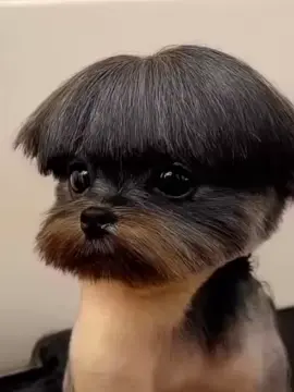 Ama çok tatlı. 💗 💗 🤗 🤗 💗 💗 