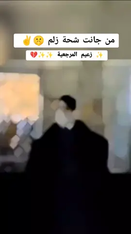 #سلطان_المراجع_السيد_الشهيد 