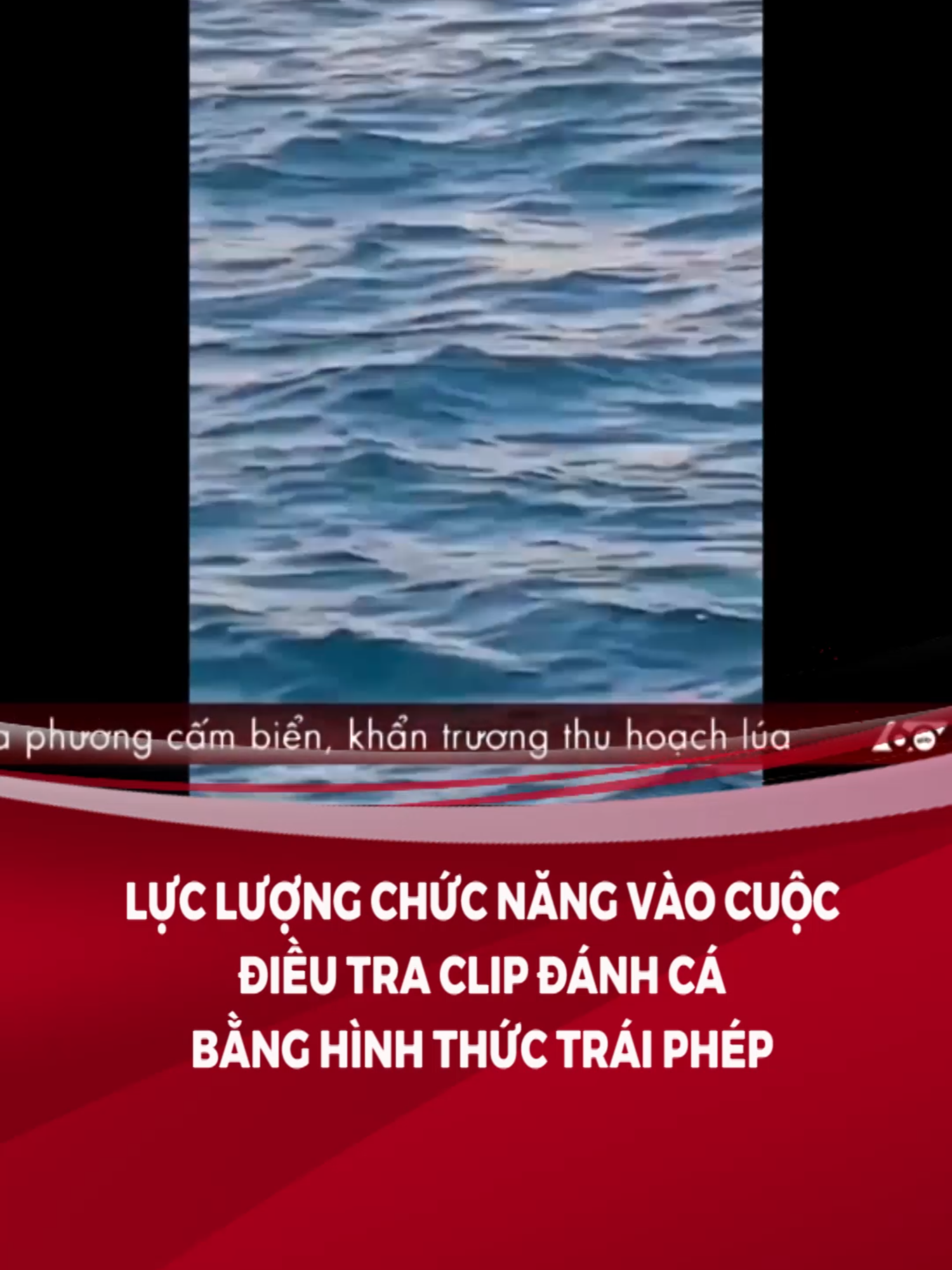 Lực lượng chức năng vào cuộc điều tra clip đánh cá bằng hình thức trái phép #HTV #HTVC #truyenhinhHTVC #HTVCnews #HTVCtintuc #tiktoknews #tinnong #60giay