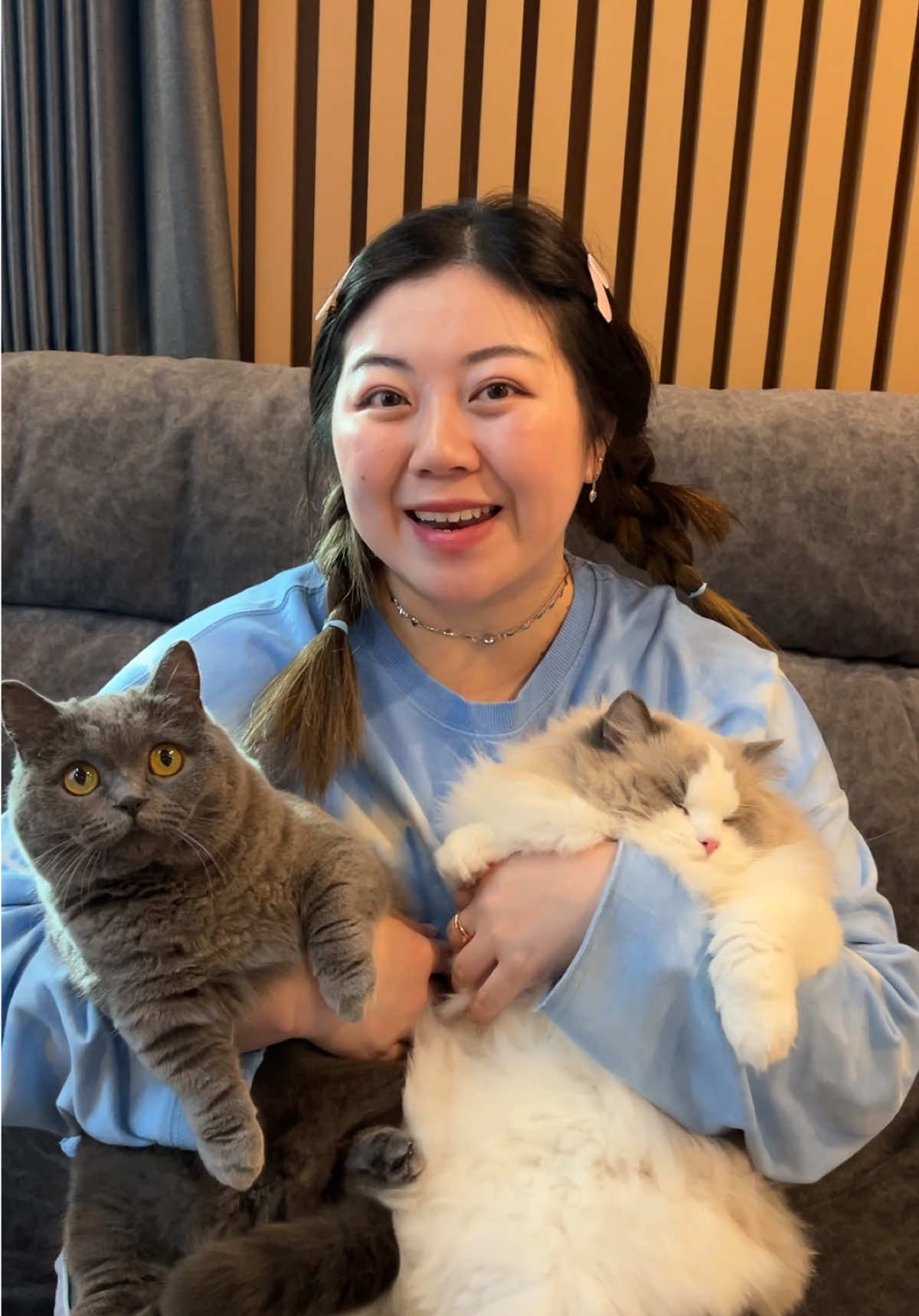 เปิดตัวลูกทับทิม ซุ่มเลี้ยงจนโตแล้วว 🤣 #EveryMealIsAShield #ให้ทุกมื้อคือการปกป้อง #CATnjoyxDAOU #3พลังเสริมภูมิคุ้มกัน #อาหารแมว