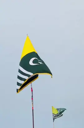 #🙌❤️🗡🛡⚖️ #kashmirwithstand #foryou #foryourpage 