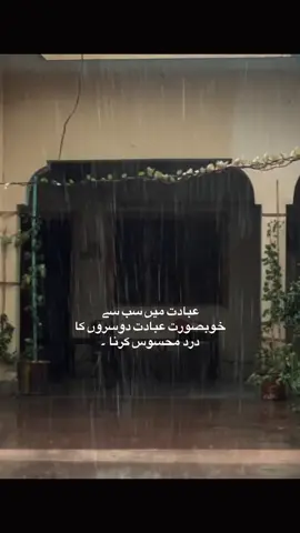 Soft&kind - #aimi07 #fypage #rain 