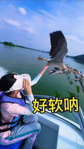 摸起来软软的想捏一捏 